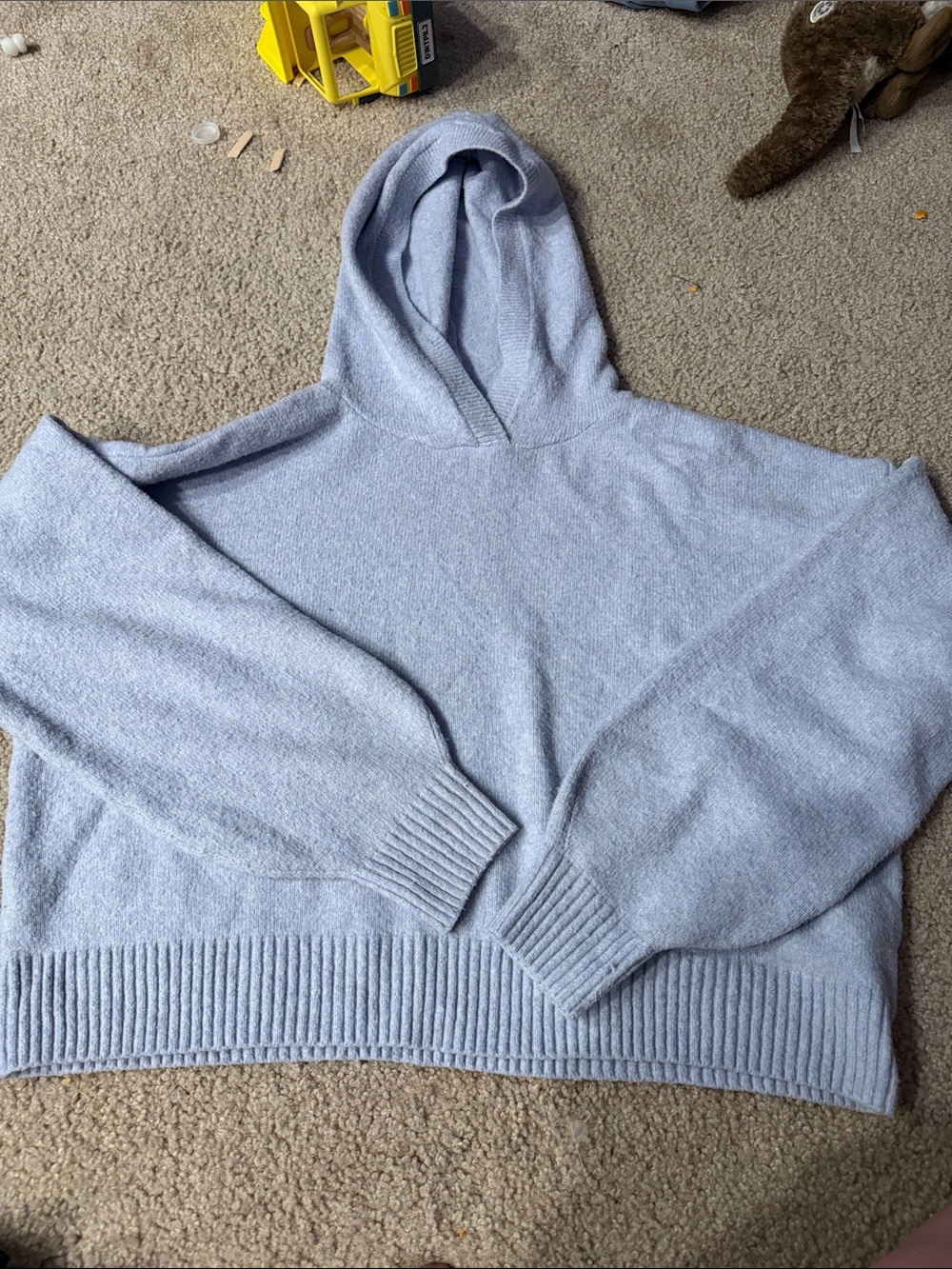 Hollister Light Blue Hooded Sweater cropped